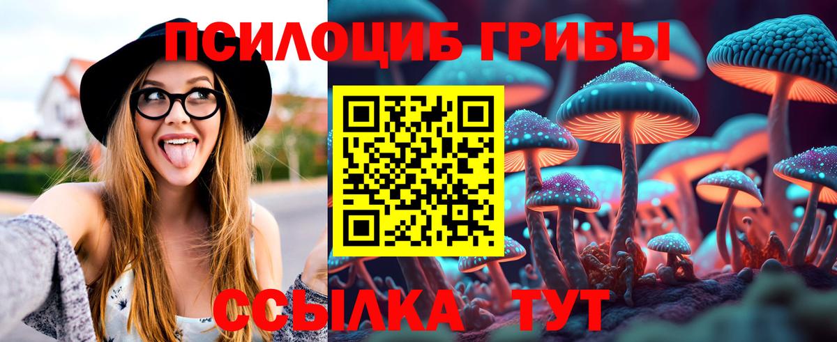 Псилоцибиновые грибы GOLDEN TEACHER Добрянка