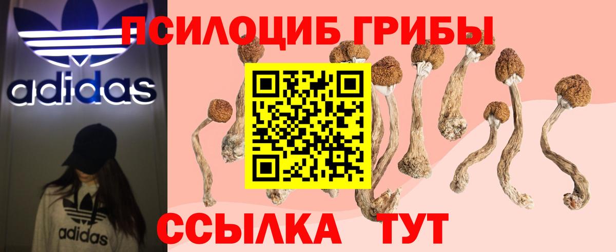 Галлюциногенные грибы GOLDEN TEACHER  Вход с VPN  Добрянка  Галлюциногенные грибы прущие грибы 